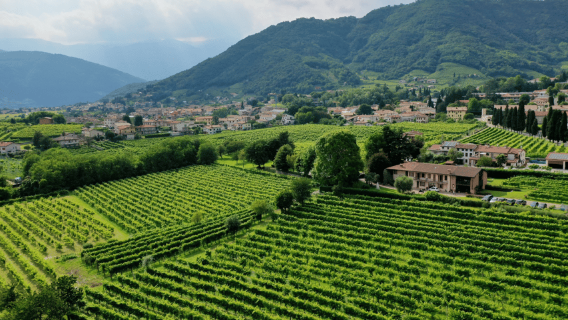 Degustazione di Prosecco in una cantina di campagna