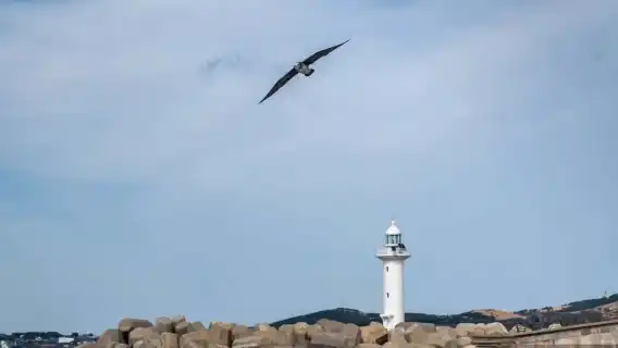 濟州島東線一日遊【鹹德海水浴場+牛島+城山日出峰+涉地可支】