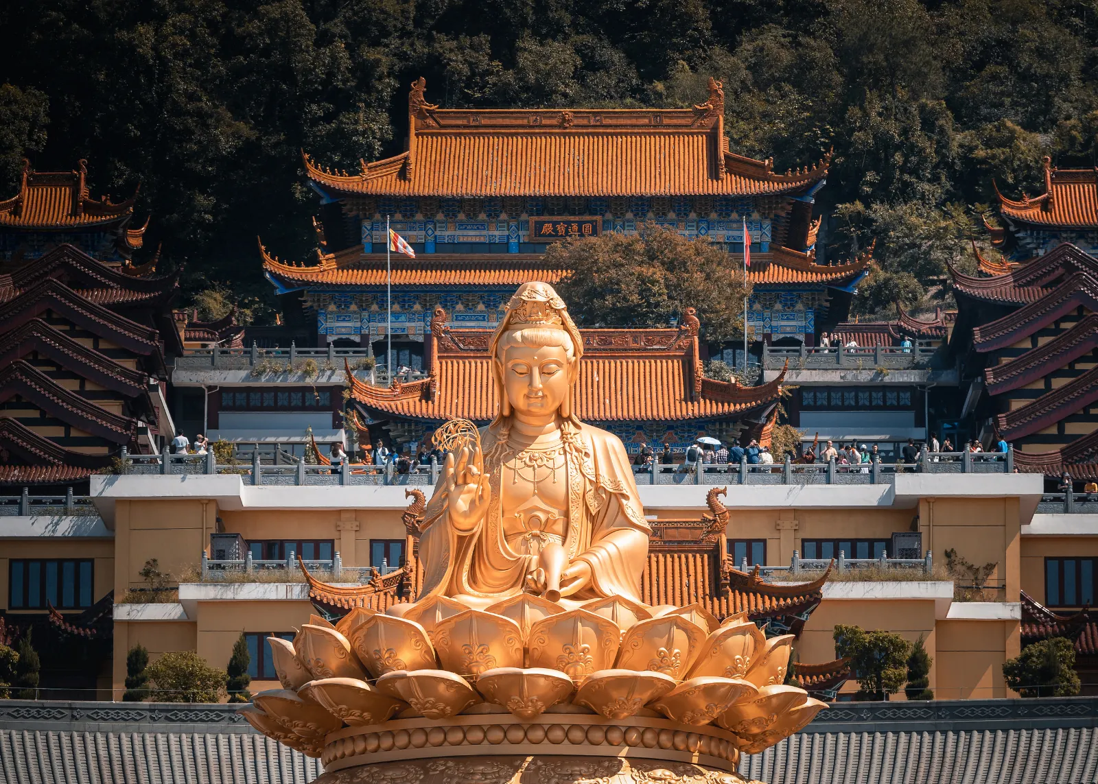 [Escursione a Nanchino con noleggio con conducente esclusivo] Tempio di Guanyin sul Monte Donglu + Giardino Yuyuan + Crociera sul Fiume Qinhuai