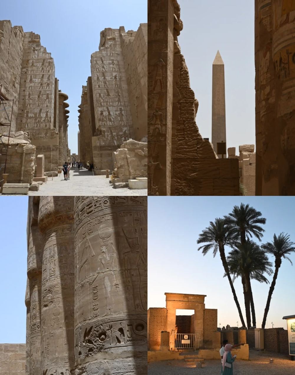Luxor + Complesso templare di Karnak + Valle dei Re + Tempio funerario di Hatshepsut|Trasferimento con autista privato