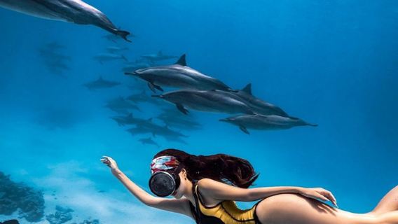 埃及紅海出海一日遊【可選浮潛/深潛/玻璃船/海豚灣追海豚】