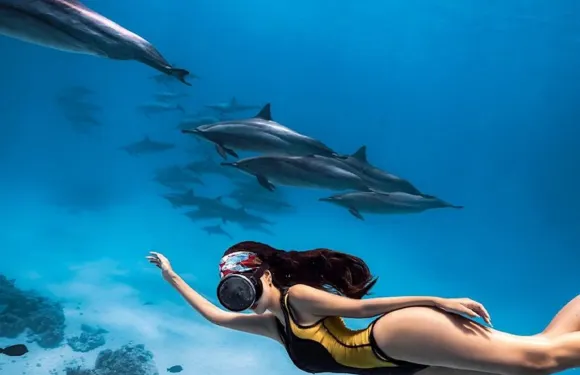 埃及紅海出海一日遊【可選浮潛/深潛/玻璃船/海豚灣看海豚】