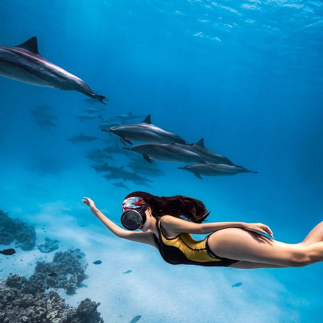 埃及紅海出海一日遊【可選浮潛/深潛/玻璃船/海豚灣看海豚】