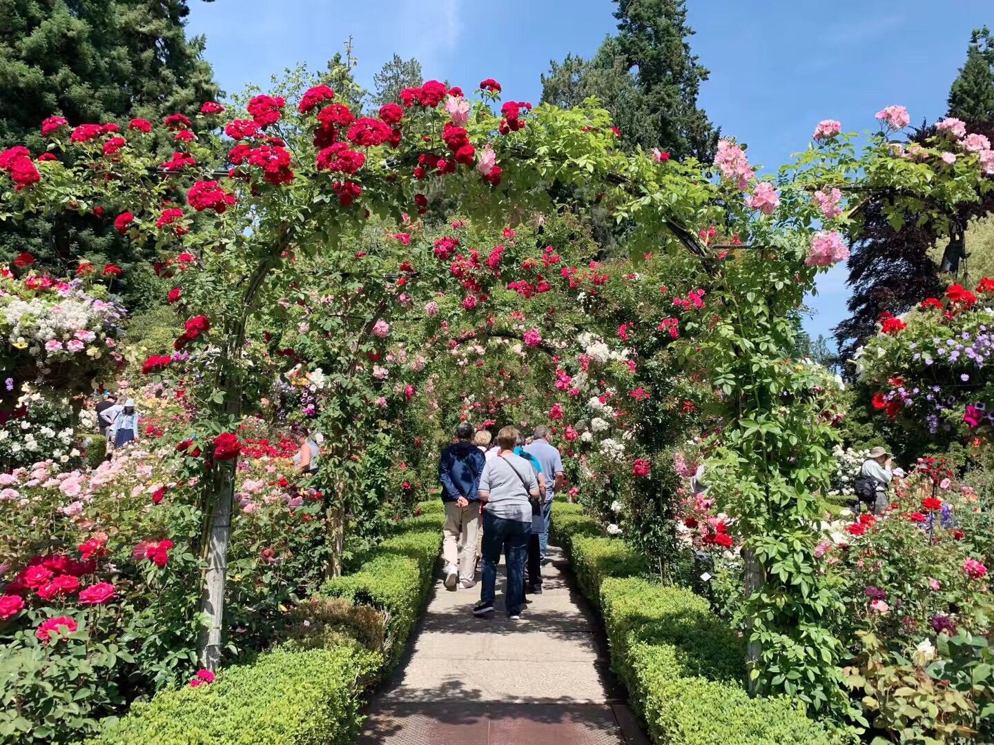 Muelle de Pescadores de Victoria - Jardines Butchart - Castillo de Hatley