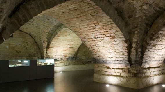 Crypts of Vilnius Cathedral: Guided Tour