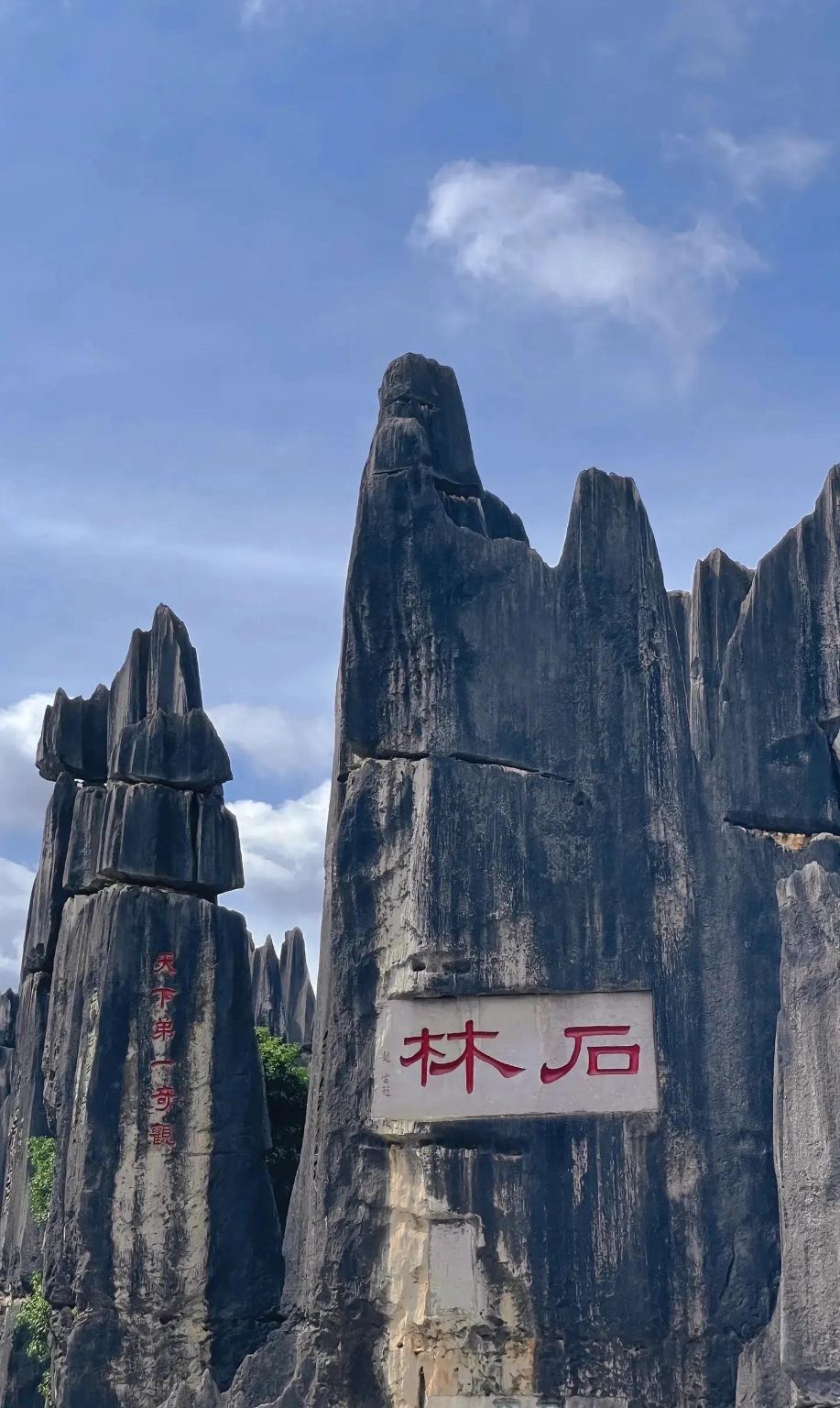 Stone Forest Scenic Area and Jiuxiang Private Tour in Kunming, Yunnan, China [Consultation for Comprehensive Yunnan Travel Services]