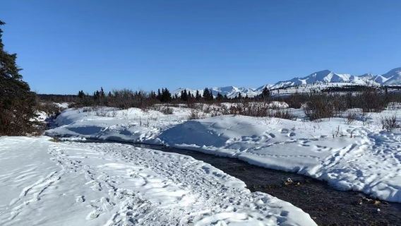 美國費爾班克斯迪納利國家公園+雪橇犬基地【中文私享定制包車】