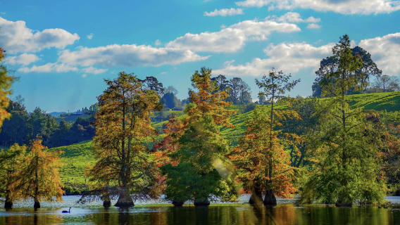 紐西蘭奧克蘭+愛歌頓農場+羅托魯瓦【中文專車-愜意舒適】