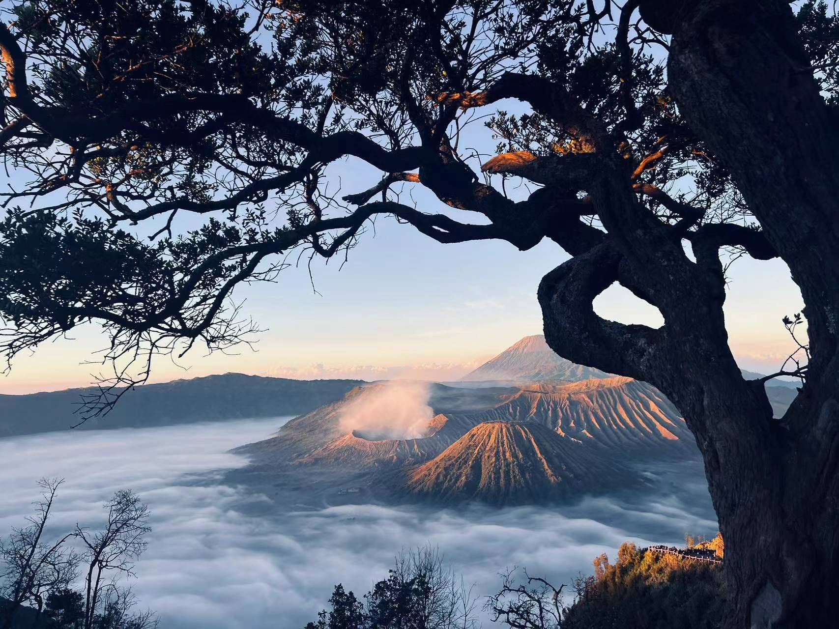 布羅莫火山 布羅莫火山一日遊