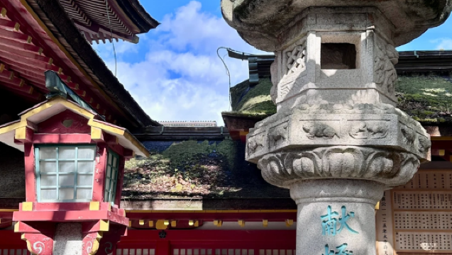 Fukuoka Japan + Dazaifu Tenmangu + Kushida Shrine + Tenjin Underground Shopping Mall + Ohori Park day tour