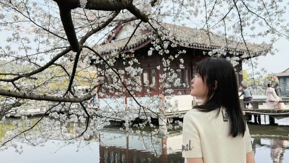 Hangzhou Professional Guided Tour (West Lake, Leifeng Tower, Lingyin Temple + Optional Chinese or English + Business Reception/Family/Kids)