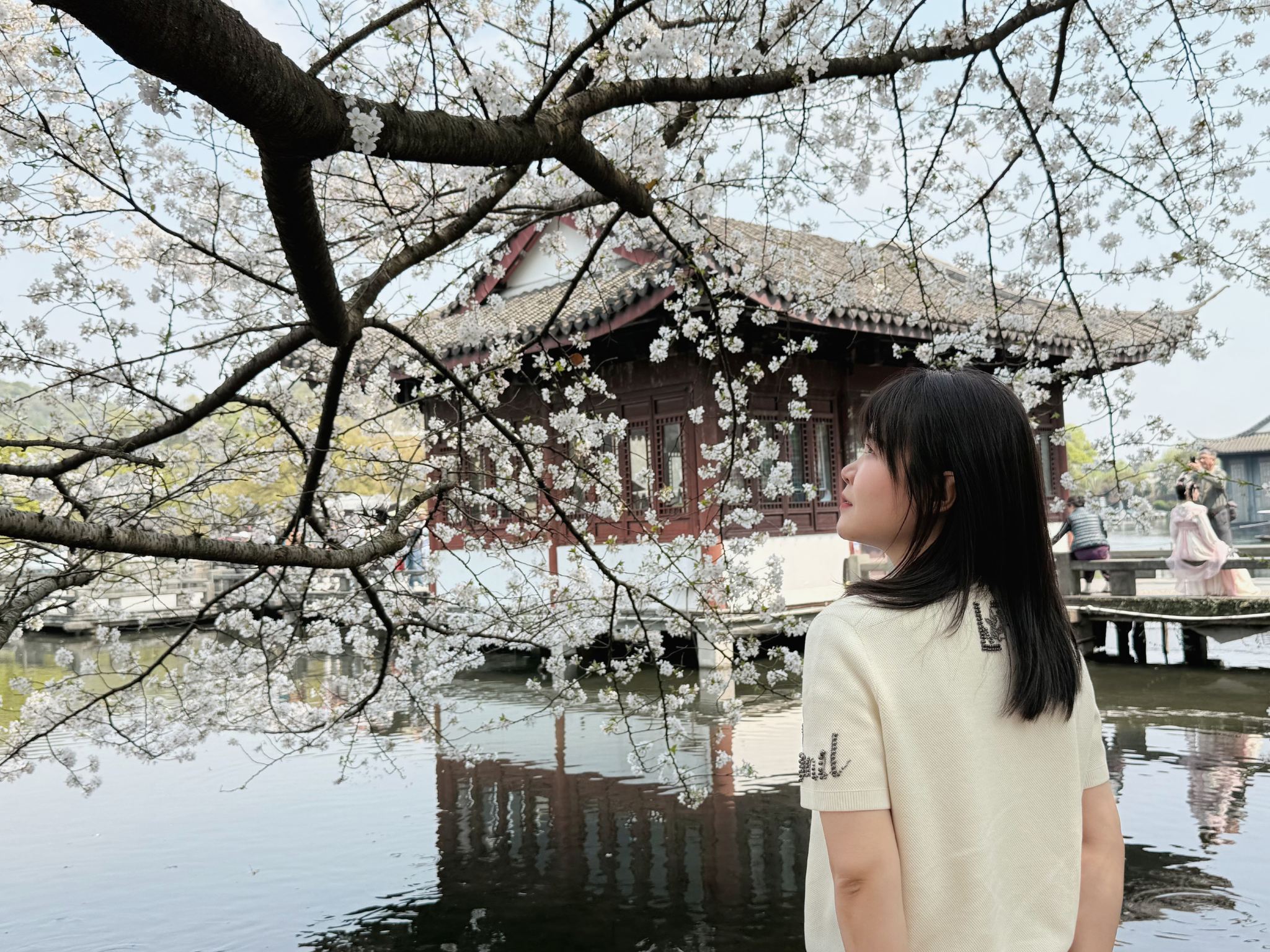 杭州プロフェッショナルガイド付き解説（西湖・雷峰塔・霊隠寺＋中国語/英語オプション＋ビジネス接待/家族連れ/ファミリー向け）