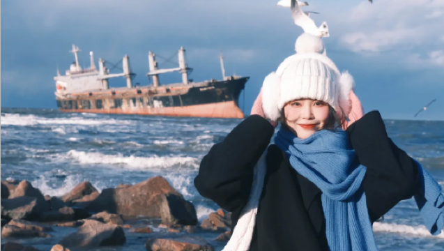 山東全線定制遊|趵突泉+泰山+三孔+棧橋+火炬八街+蓬萊閣