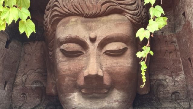 ทัวร์ 1 วัน พระใหญ่เล่อซานและอาณาจักรพุทธะแห่งตะวันออก (ออกเดินทางจากเฉิงตู)