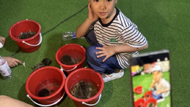 Lingshui, Hainan: Aktiviti Memungut Hasil Laut, Papan Dayung Viral, Menangkap Ikan dengan Bot Nelayan - Tempat Wajib Dilawati untuk Keluarga