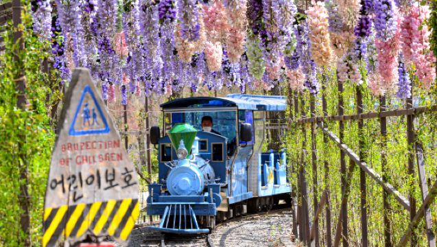 ทัวร์วันเดียว/ทัวร์หลายวัน เกาะนามิ + หมู่บ้านฝรั่งเศส + สวน Garden of Morning Calm (จากโซล)