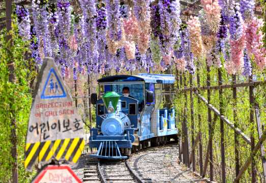Nami Island + The Garden of Morning Calm + Petite France & Italian Village One Day Tour (From Seoul)