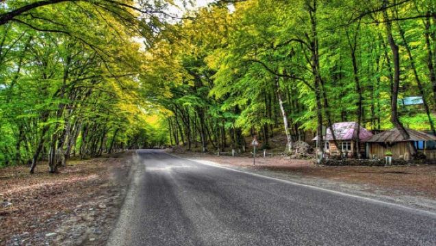 紅村+蓋吉雷什森林+古迪亞爾恰伊河+金里克村