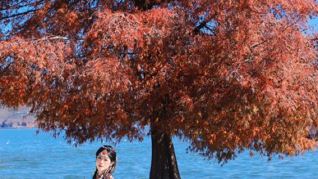 Danba Trip Moments[Photography Services: Street Photography, Aerial Shots, Candid Shots, Wedding/Portrait Photography, Commercial Photography & Videography / All Raw Footage Included / Translation]