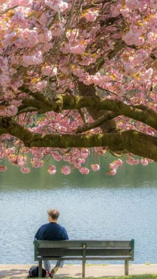謝菲爾德冬季花園+查茨沃斯莊園一日遊|多地出發|不含票