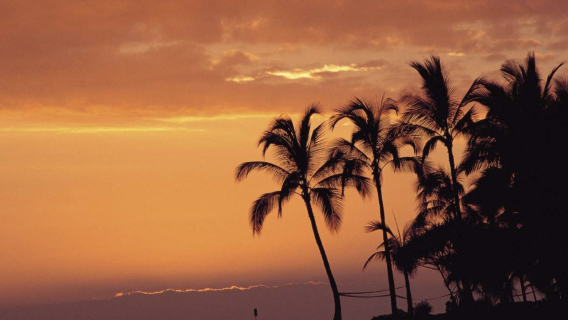 1-day tour to Hawaiʻi Volcanoes National Park from Hilo
