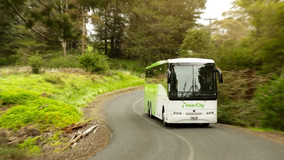 Bilet na autobus międzymiastowy InterCity na Wyspie Południowej Nowej Zelandii z darmowym Wi-Fi | Połączenia do: Christchurch/Kaikoura/Picton/Nelson/Dunedin/Queenstown