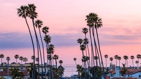 Amerika Syarikat Los Angeles - Pelancongan Bandar - Klasik Popular - Sewaan Peribadi Bahasa Cina - Pilihan Terbaik
