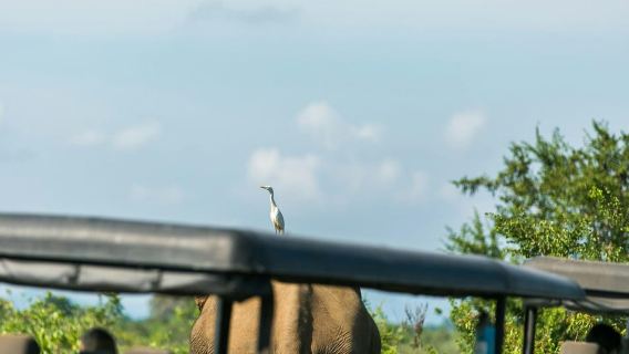 Hurulu Eco Park: Sunset & Wildlife Photography Jeep Safari