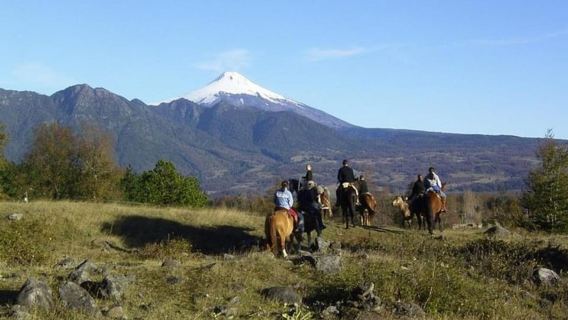 Pucon: Horseback Riding Tour with Waterfall Stop