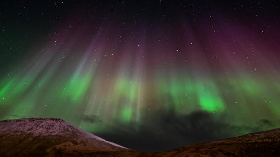 Svalbard: Northern Lights Photography Tour with local expert