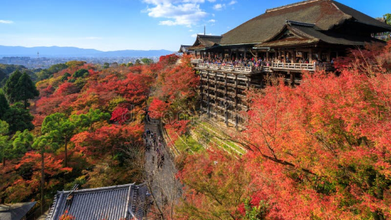 Kyoto Kiyomizu-dera : temple sacré et légende millénaire de Kyoto | Commentaire approfondi de 2 heures