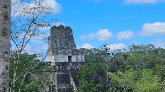 From Flores: Tikal National Park All Inclusive