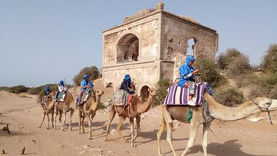 EssaouiraTours