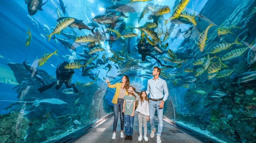 杜拜水族館和水下動物園