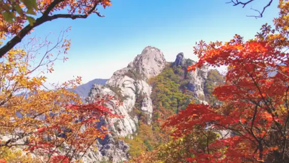 江陵秋季限定賞楓韓屋體驗兩天一夜團