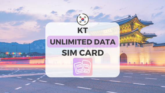 SeoulSIM Cards