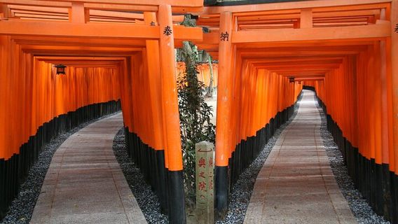 KyotoTours