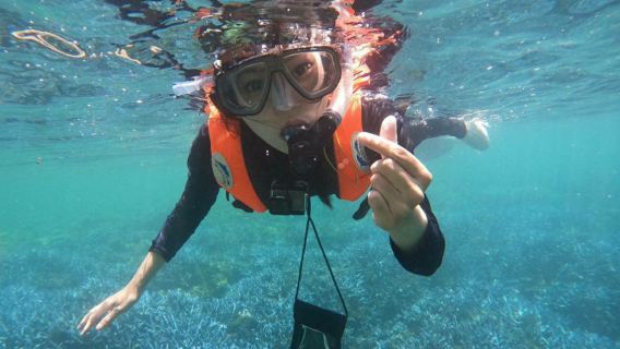 澎湖花火節|七美・將軍嶼祕境紫珊瑚雙浮潛|紫色薰衣草浮潛、跳島、水摩拖曳沖浪、SUP暢遊水上玩樂