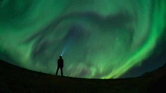 Northern Lights: 3-Hr Bus Tour + Audio Guide