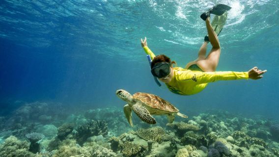 CairnsTours