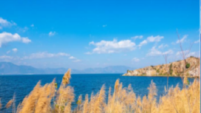 撫仙湖1日遊丨紅山咀「粉紅沙灘」丨撫海灣濕地公園丨祿充風景區