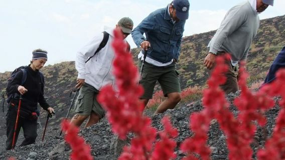 Mount Etna: Excursion from Catania