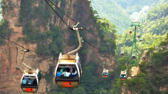 장자제 아바타 산과 최장 유리 다리 프라이빗 종일 투어