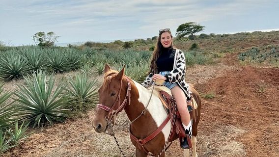 MazatlanTours