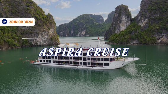 HaiphongTravel Services