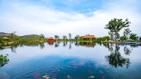 Beijing Summer Palace: Optional bilingual guide & professional commentary for a relaxed tour experience