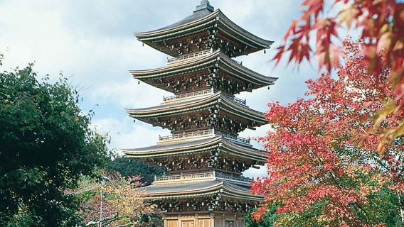 Tour di un giorno a Sendai: Onsen Sakunami + Tempio Nyorai Saiho + Distilleria Nikka Whisky