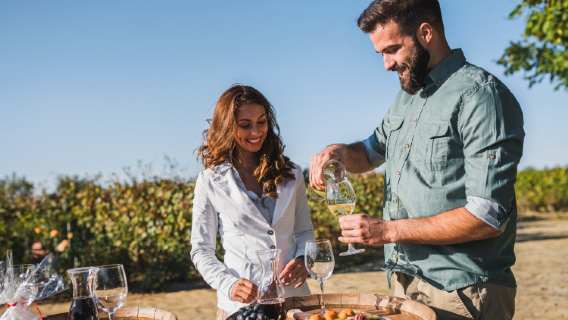 Diễu hành chim cánh cụt, ngắm động vật hoang dã và tour 1 ngày từ Melbourne