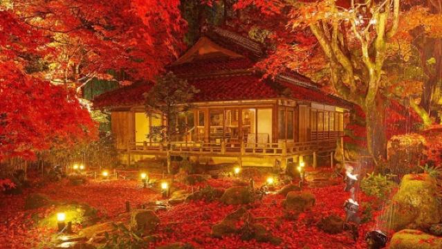 excursión de un día iluminado por el templo Hieisan Enryakuji de Kioto, el templo Omihachiman y el arce rojo de Kyorinbo con entrada gratuitas.