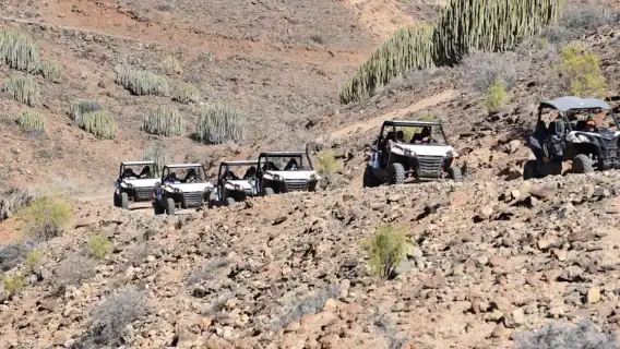 Las Palmas: Gran Canaria Guided Buggy Tour